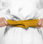 Student yellow Belt