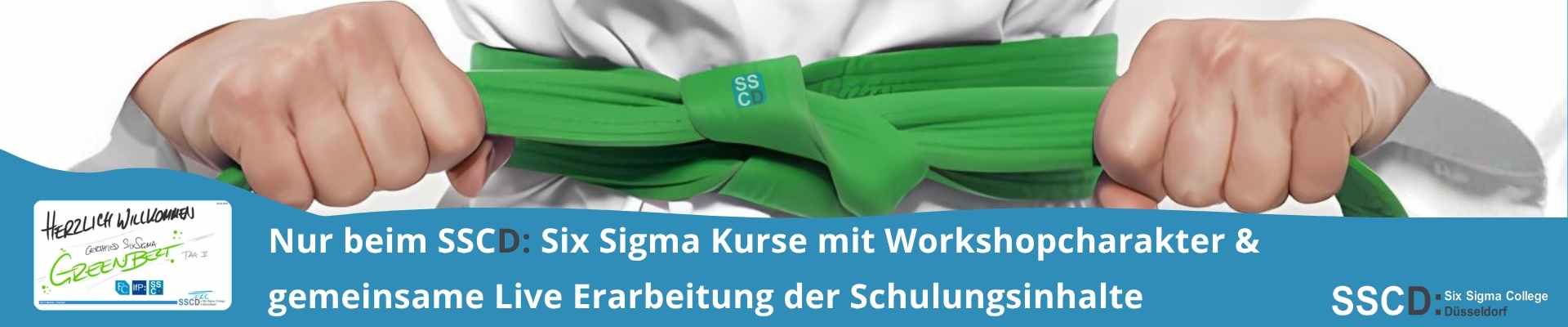 Beim Six Sigma College gibt es Six Sigma Kurse mit Workshopcharakter, die Live mit den Teilnehmern erarbeitet werden