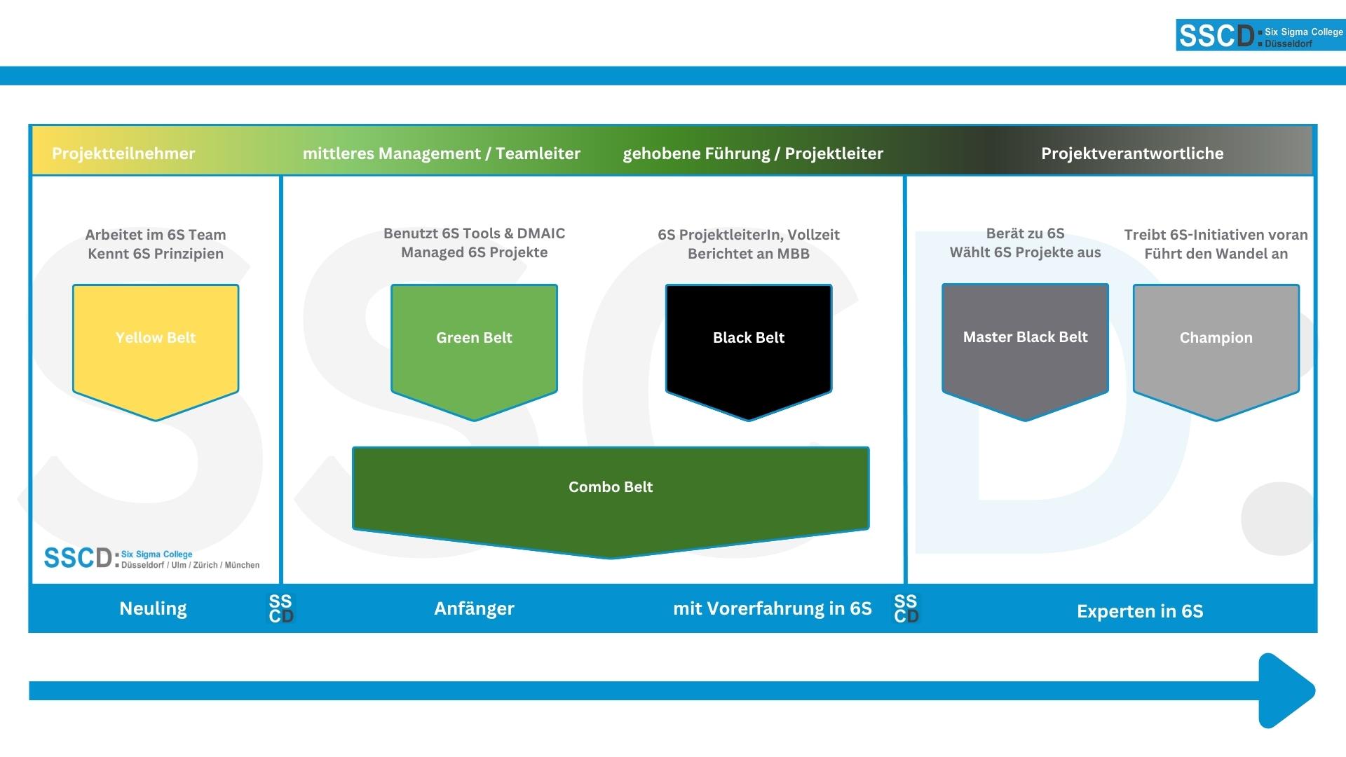 Die Six Sigma Rollen übersichtlich in einer Grafik dargestellt