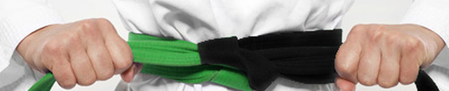 Certified Green and Black Belt Combo according to ASQ® Standard. Six Sigma College Düsseldorf.