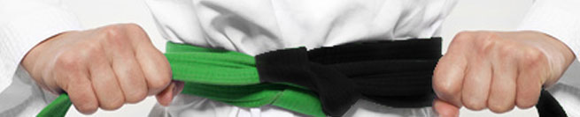 six sigma black belt