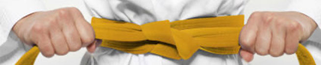 six sigma yellow belt